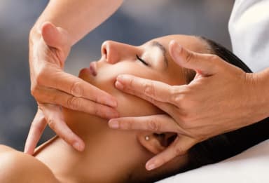 Professional Facial Massage with Anatomy, Physiology and Pathology 1
