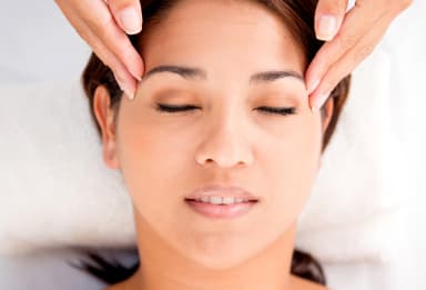 Professional Facial Massage with Anatomy, Physiology and Pathology 4